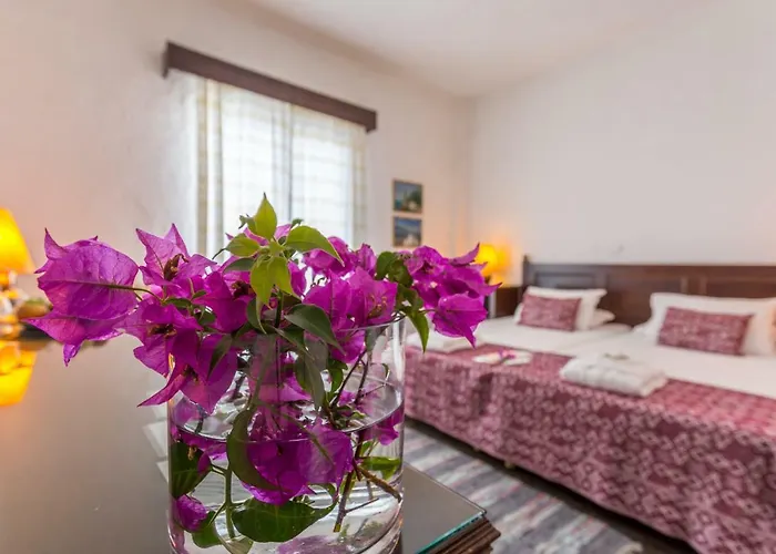 Agionissi 4* Amoliani